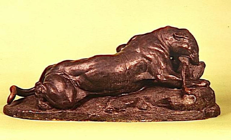 Jaguar dévorant un lièvre_0