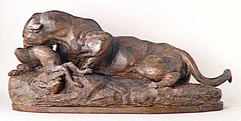 Jaguar dévorant un lièvre_0