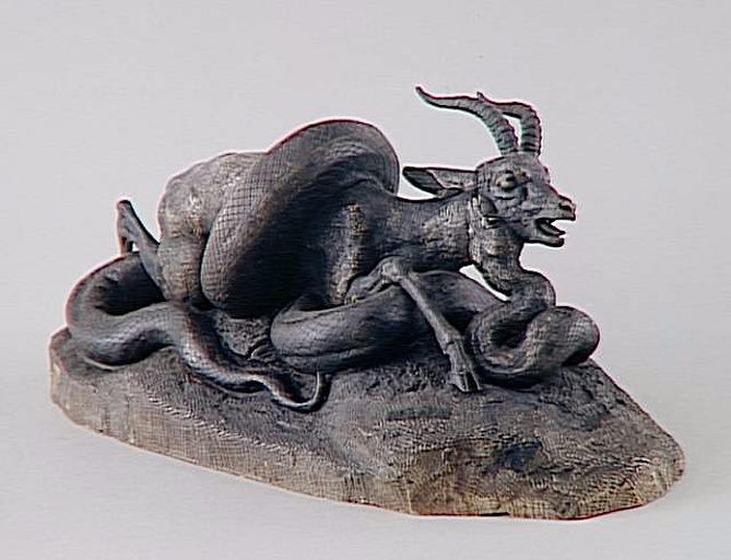 Serpent python enlaçant une gazelle_0