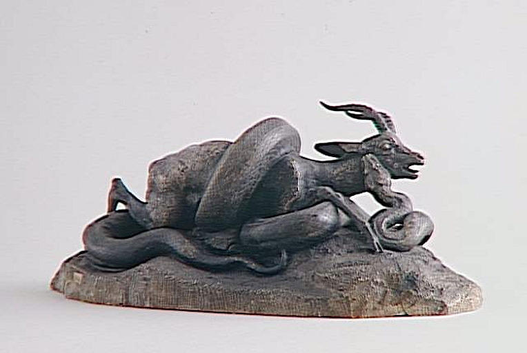 Serpent python enlaçant une gazelle_1
