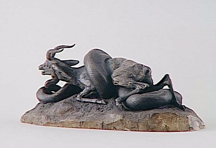 Serpent python enlaçant une gazelle_2