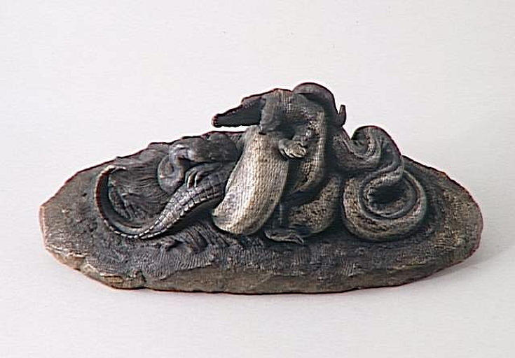 Serpent python étouffant un crocodile_0