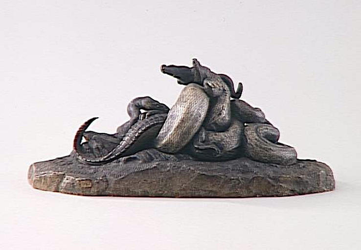 Serpent python étouffant un crocodile_1