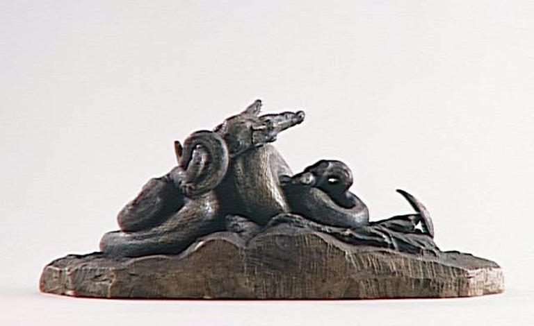 Serpent python étouffant un crocodile_2