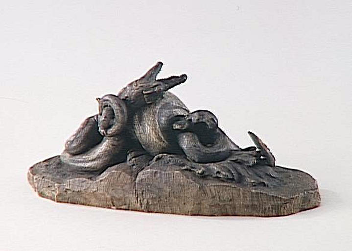 Serpent python étouffant un crocodile_3