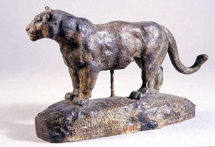 Jaguar debout n°1, dit à tort, Lionne d'Algérie_1
