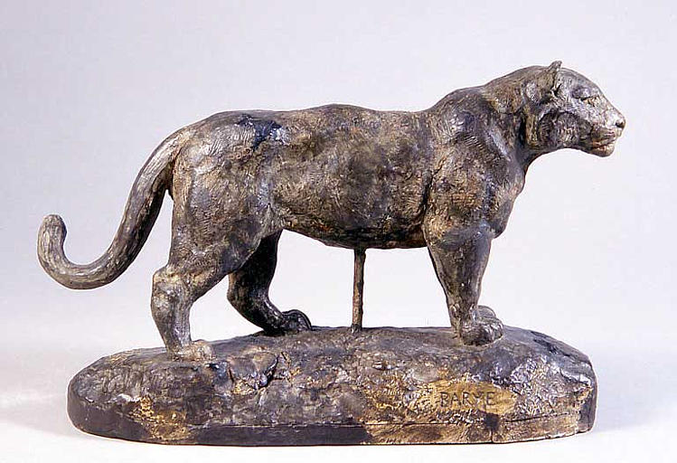 Jaguar debout n°1, dit à tort, Lionne d'Algérie_2
