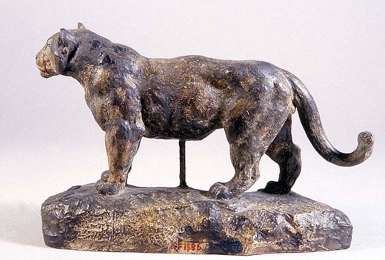 Jaguar debout n°1, dit à tort, Lionne d'Algérie_3