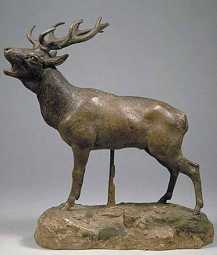 Cerf qui brame_0