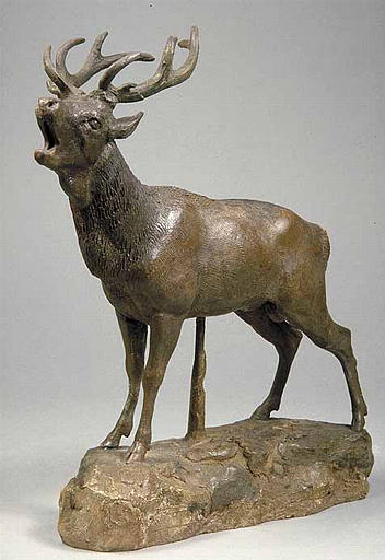 Cerf qui brame_1