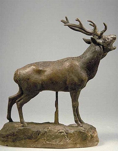 Cerf qui brame_2