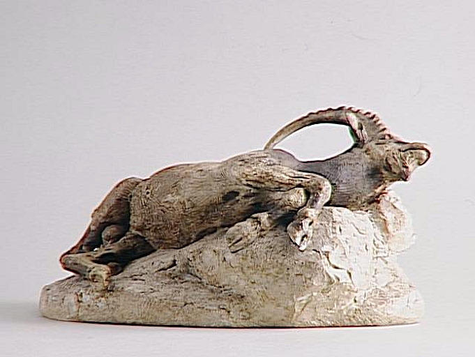 Bouquetin mort_2