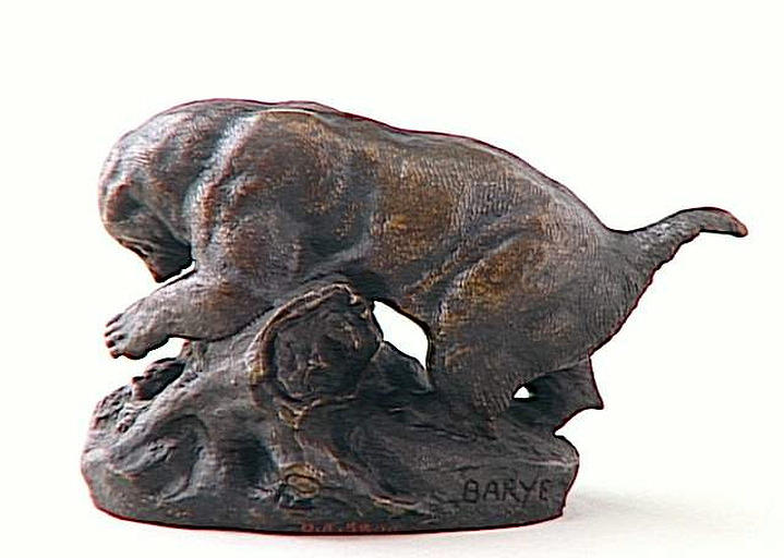 Ratel dénichant des oeufs_1