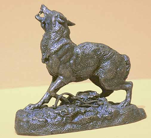 Loup pris au piège_0