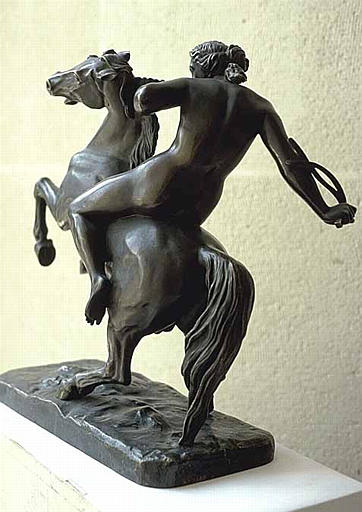 Amazone domptant un cheval sauvage_2