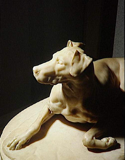 Un chien_0