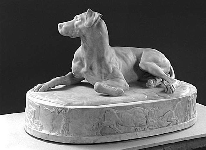 Un chien_1