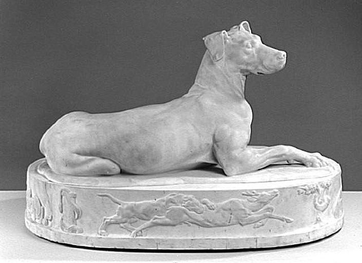 Un chien_3