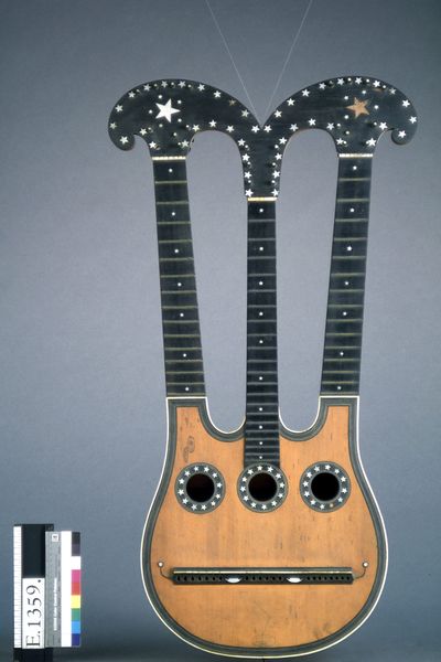 Guitare dite Harpolyre_0
