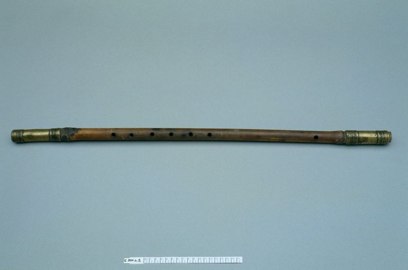 Flûte à embouchure latérale "tirio"_0