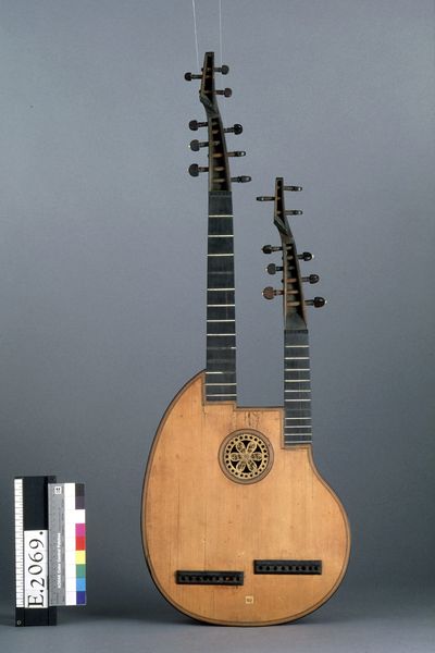 Guitare à double manche_0