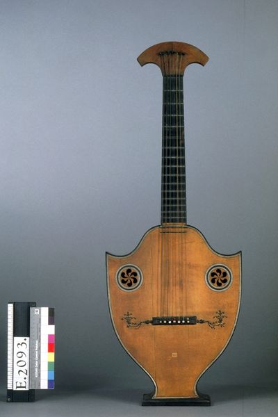 Lyre-guitare_0