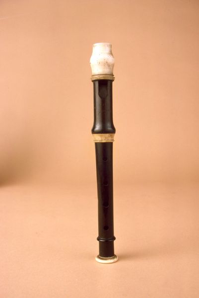 Flageolet_0
