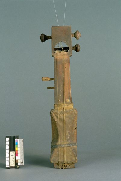 Vièle "sarangi"_0