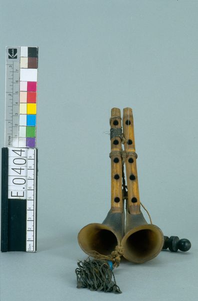 Fragments de cornemuse "zukra"_0