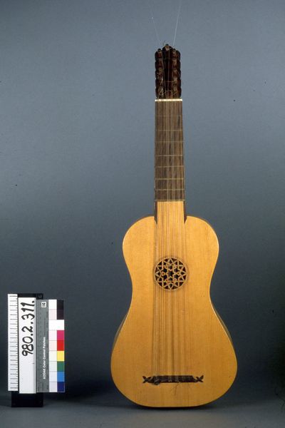 Reconstitution de vihuela_0