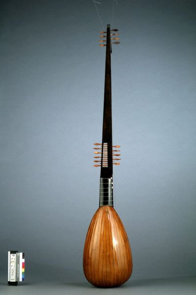 Théorbe_0