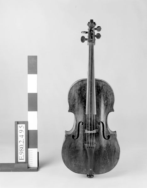 Viola pomposa_0