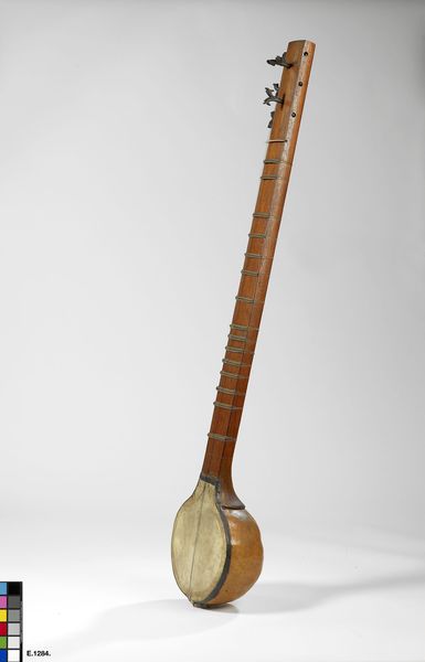 Luth à manche long type "sitar"_0