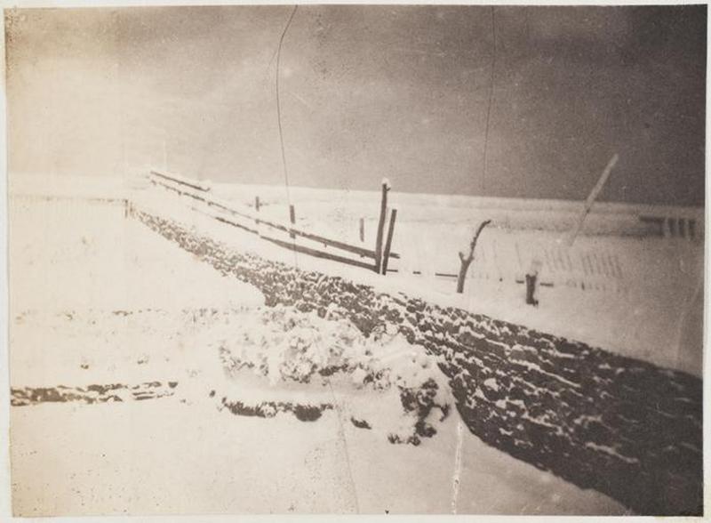 Le jardin de Marine-Terrace sous la neige_0