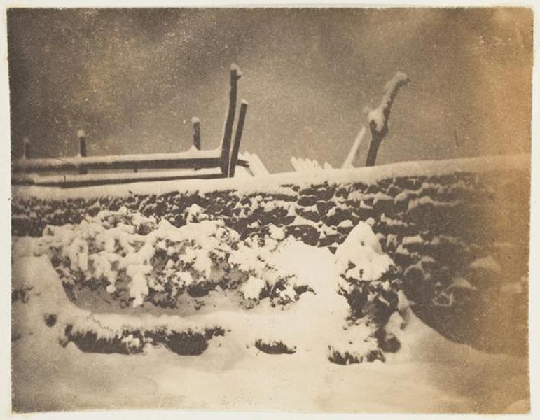 Dans le jardin de Marine Terrace, un jour de neige_0