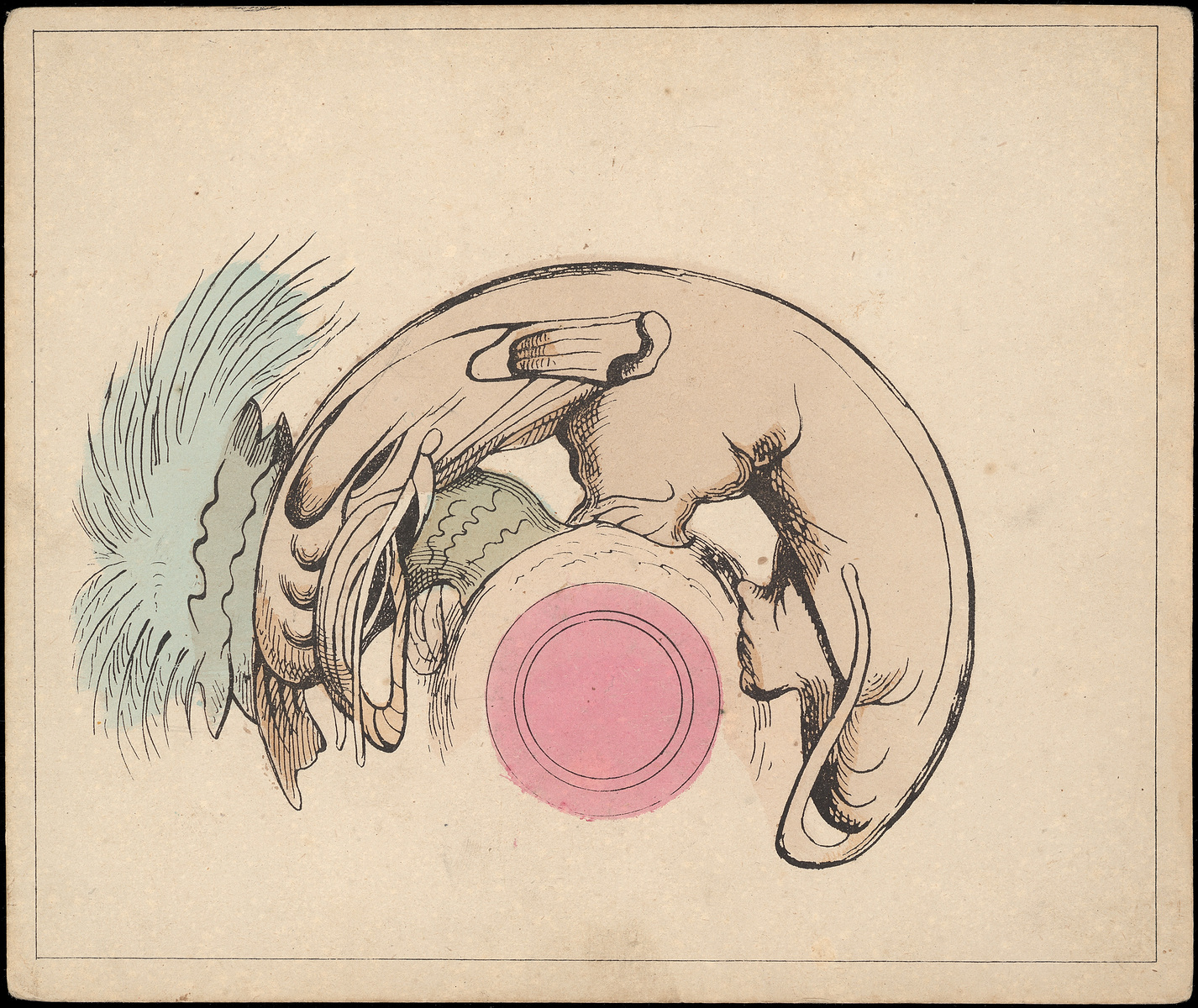 Planche d'anamorphose : éléphant, Henry Emy, 1860