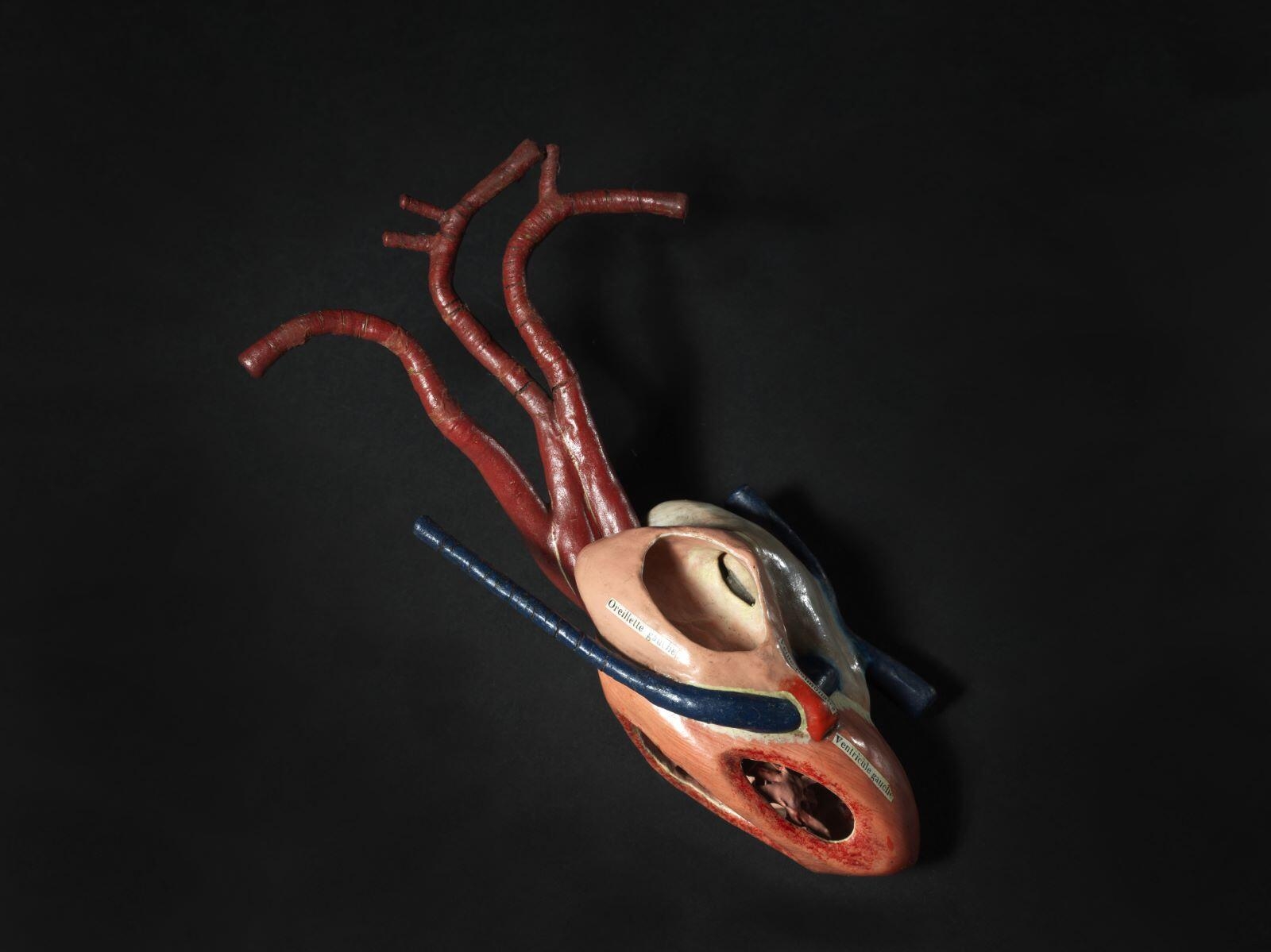 Coeur de serpent_0