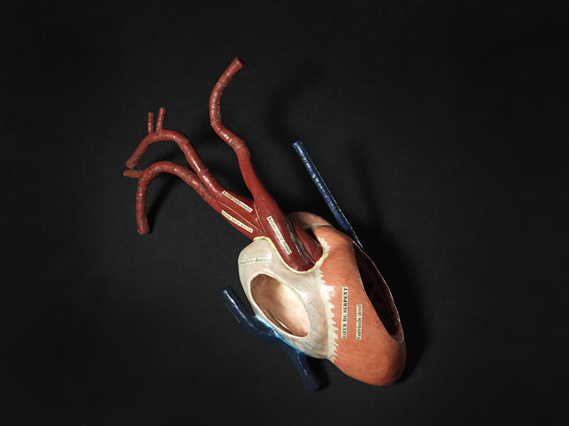 Coeur de serpent_1
