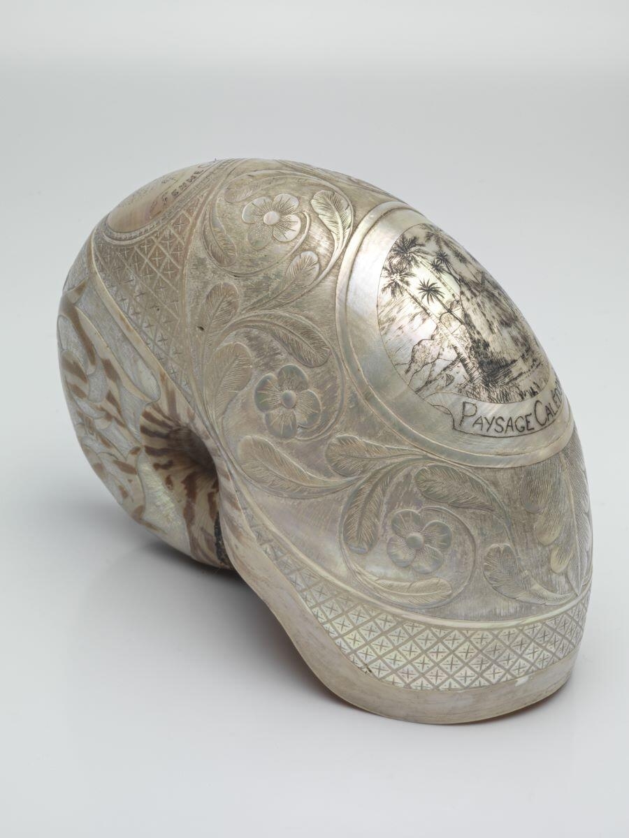 Nautile sculpté (élément d'ensemble)_1