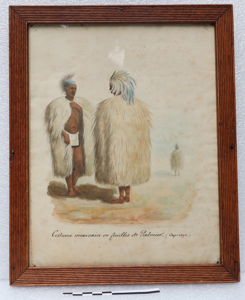 Costume mexicain en feuilles de palmier, Mehedin