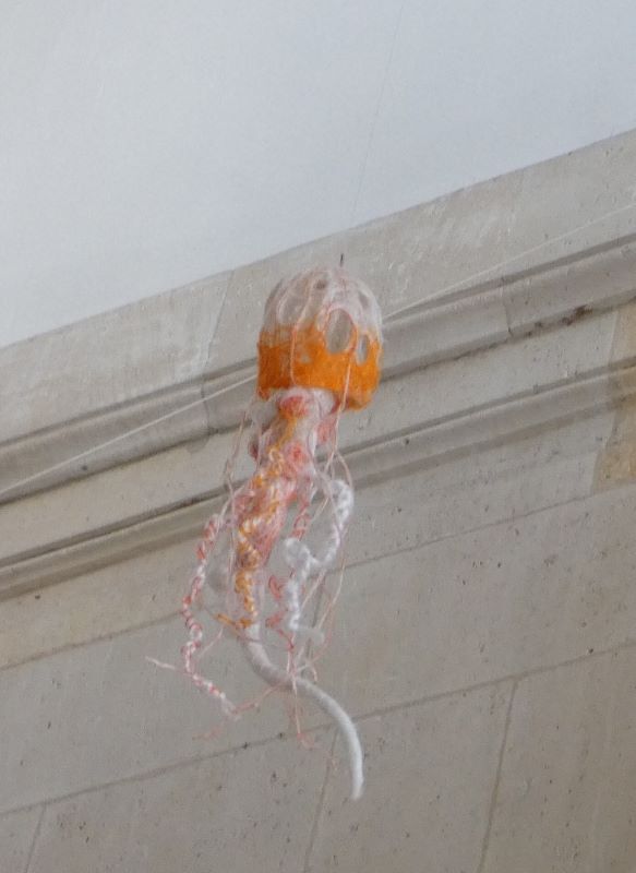 Méduse Sea Nettle, Lavinia Ketchell, 2020