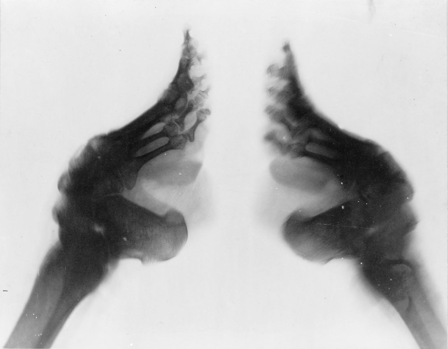 Chaussure_2