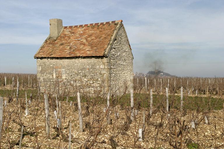 cabane de vigneron : vue d'ensemble.