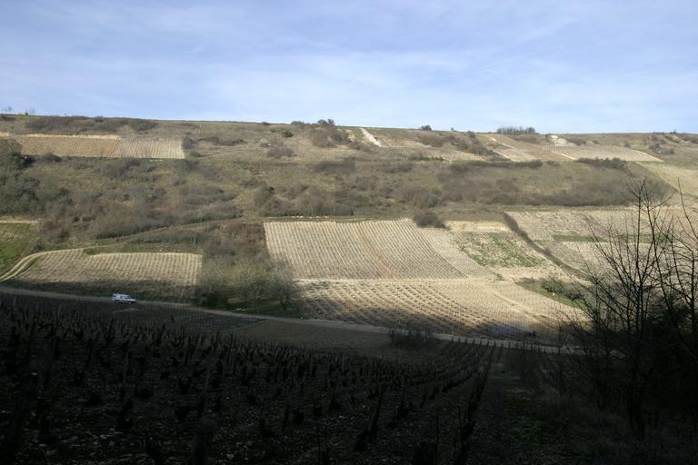 Sancerre, Chavignol : parcelles de vigne en hiver.
