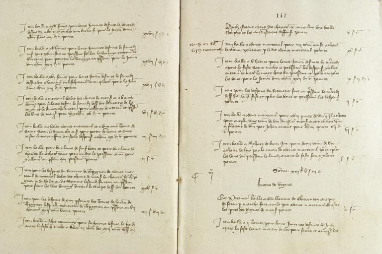 Comptes de terres à vignes de Louis de Sancerre, 1380-1382.