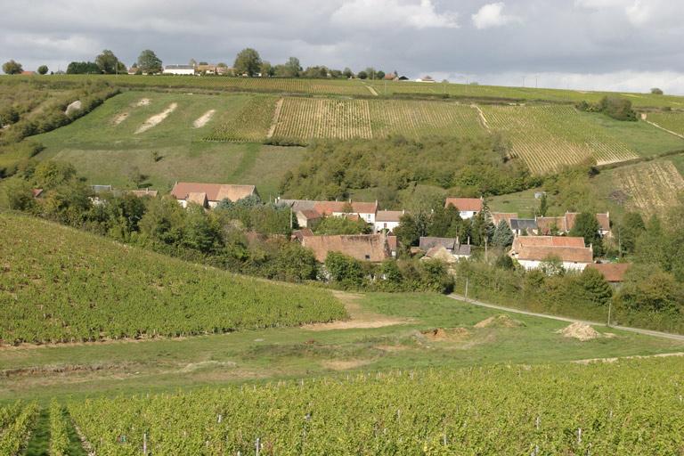 Vue d'ensemble.