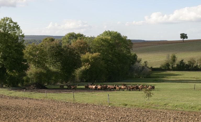 Paysage.