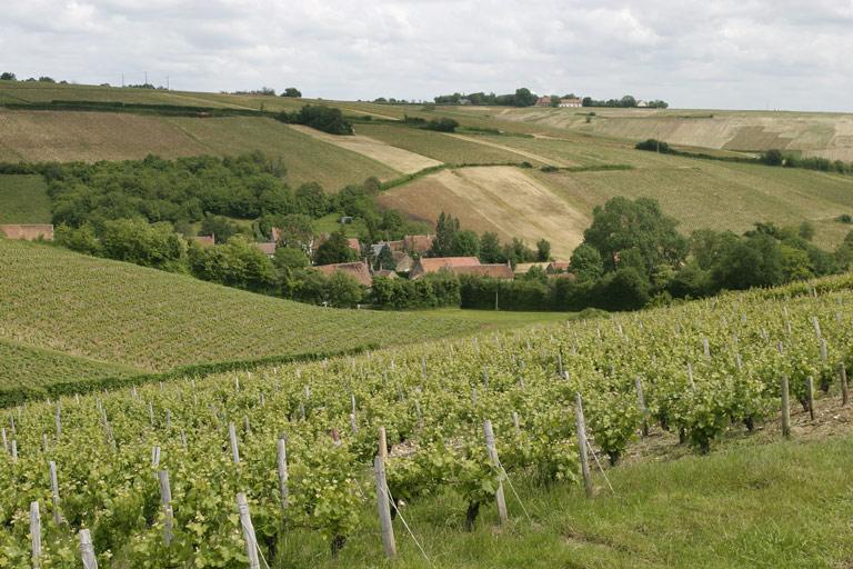 Vue d'ensemble.