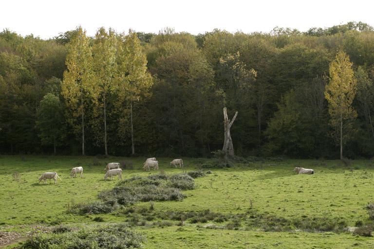 Vue prise dans la vallée de la Belaine, près du Moulin Déza.