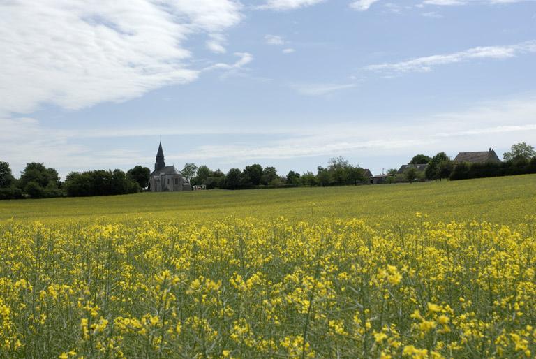 Paysage avec l'église en arrière plan.